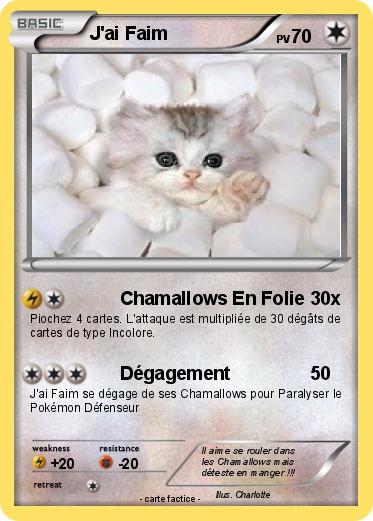 Pokemon J'ai Faim