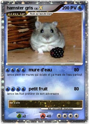 Pokemon hamster gris
