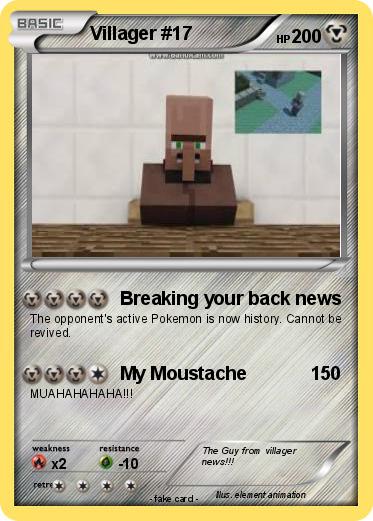 Pokemon Villager #17