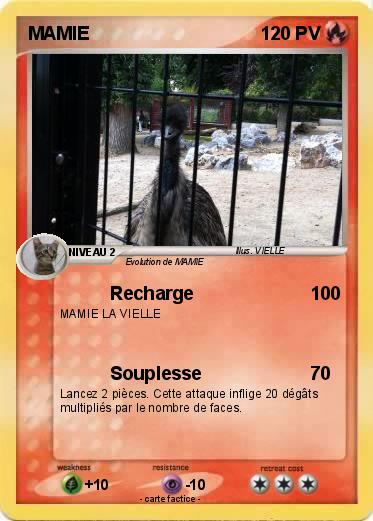 Pokemon MAMIE
