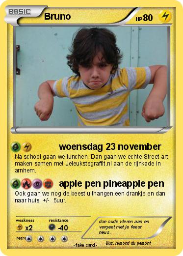 Pokemon Bruno