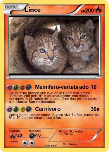 Pokemon Lince
