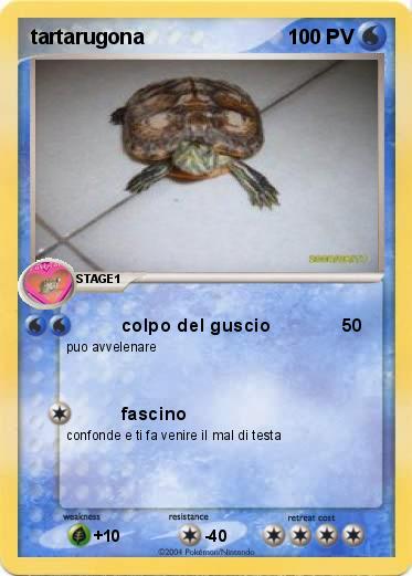 Pokemon tartarugona 