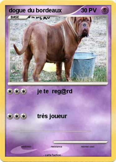 Pokemon dogue du bordeaux