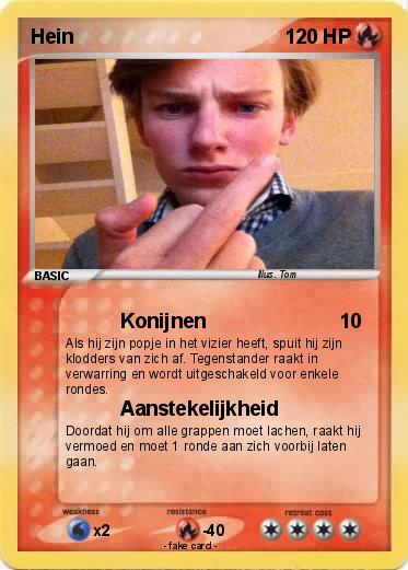 Pokemon Hein