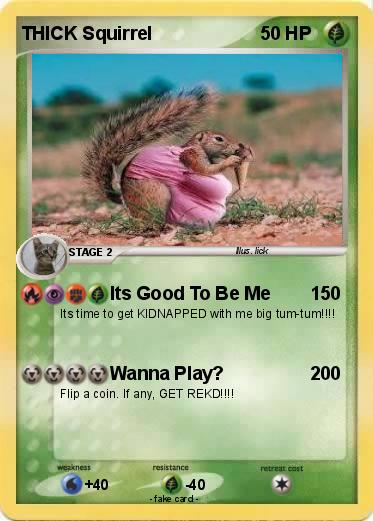 Pokemon THICK Squirrel