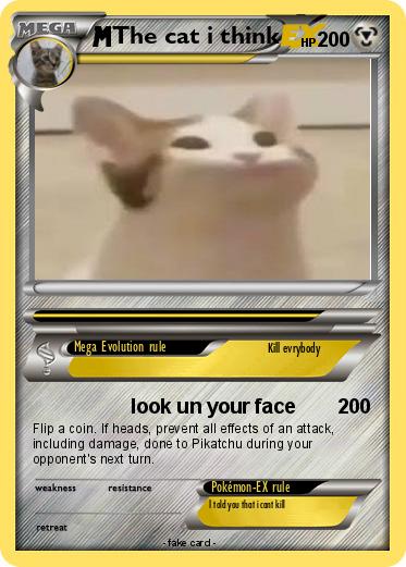Pokemon The cat i think