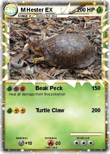 Pokemon M Hester EX