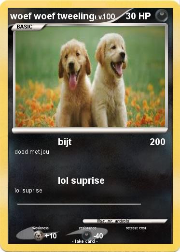 Pokemon woef woef tweeling