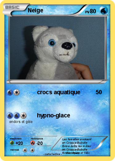 Pokemon Neige