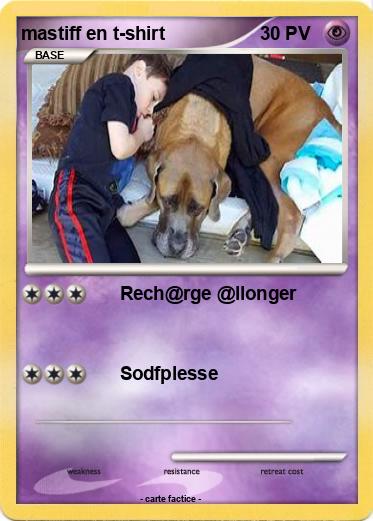 Pokemon mastiff en t-shirt