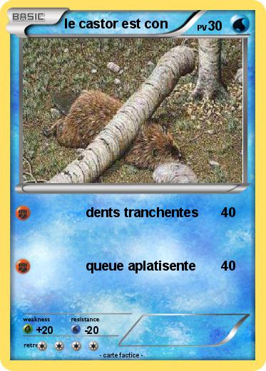 Pokemon le castor est con