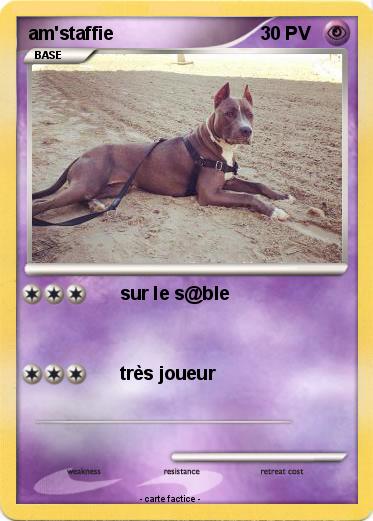 Pokemon am'staffie
