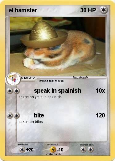Pokemon el hamster