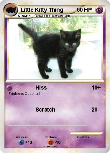 Pokemon Little Kitty Thing
