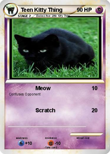 Pokemon Teen Kitty Thing