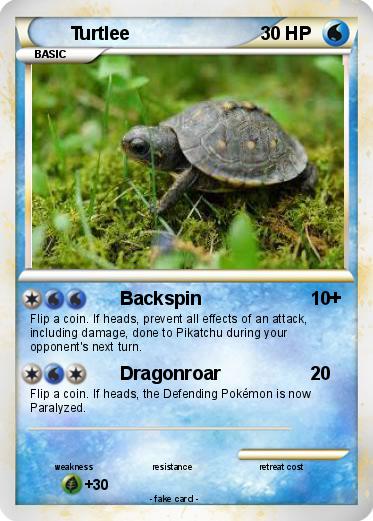 Pokemon Turtlee