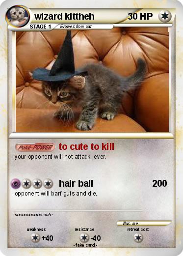 Pokemon wizard kittheh