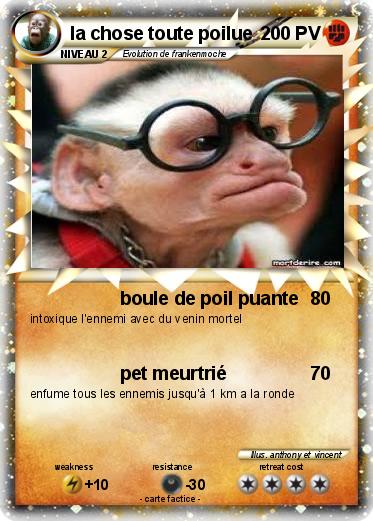Pokemon la chose toute poilue