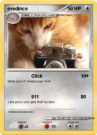 Pokemon evedince