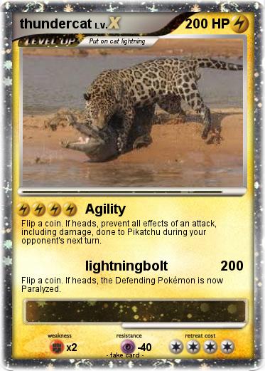 Pokemon thundercat