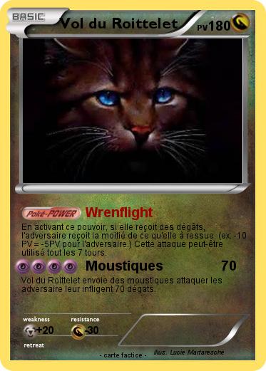 Pokemon Vol du Roittelet