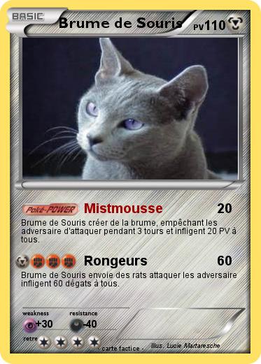 Pokemon Brume de Souris