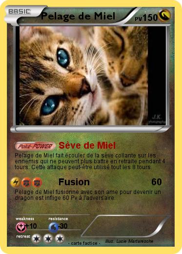 Pokemon Pelage de Miel