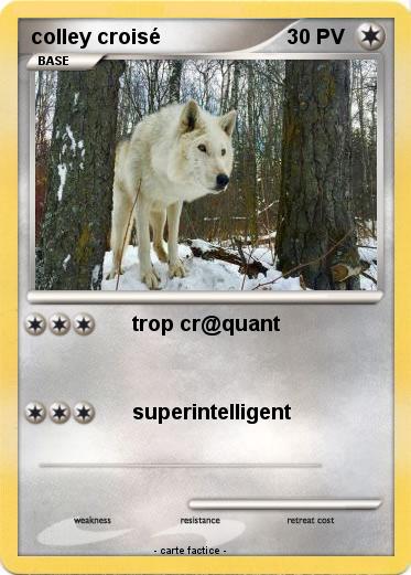 Pokemon colley croisé