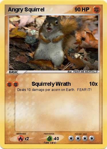Pokemon Angry Squirrel