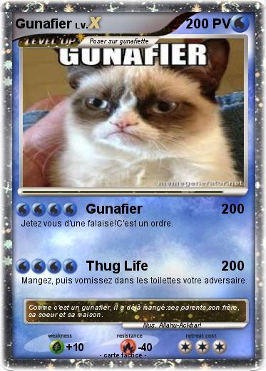 Pokemon Gunafier