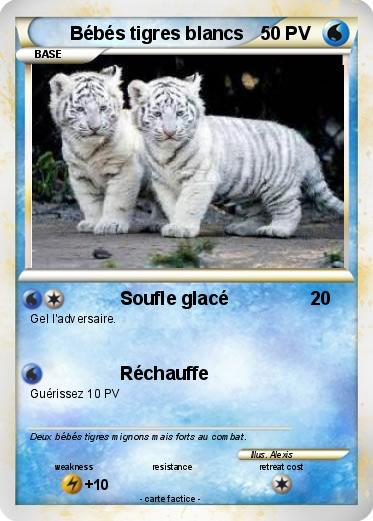 Pokemon Bébés tigres blancs