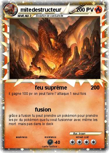 Pokemon mitedestructeur