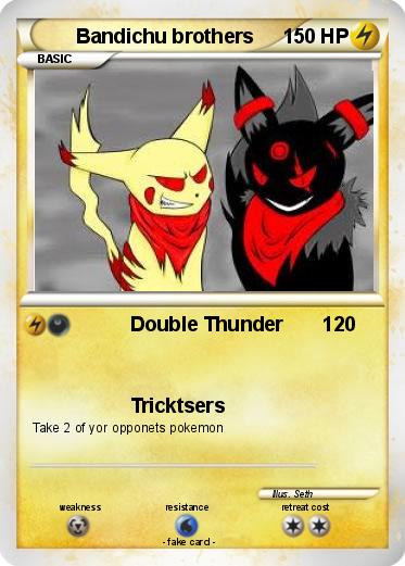 Pokemon Bandichu brothers