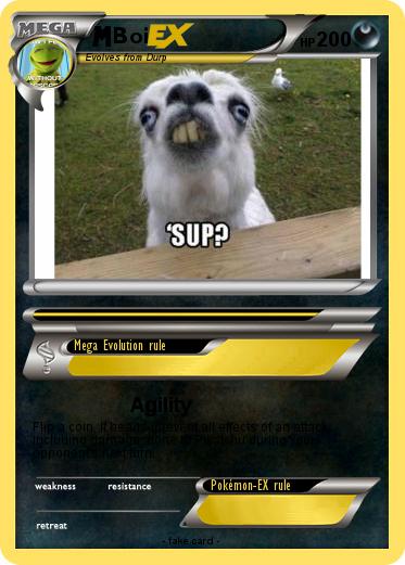 Pokemon Boi