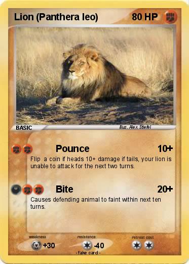 Pokemon Lion (Panthera leo)
