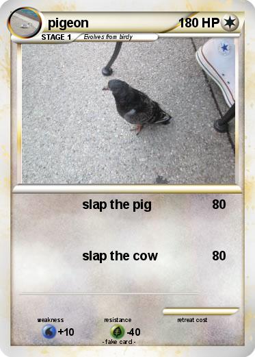 Pokemon pigeon