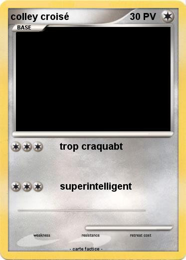 Pokemon colley croisé