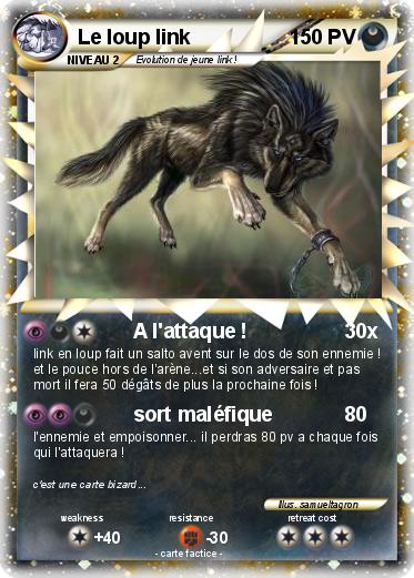 Pokemon Le loup link