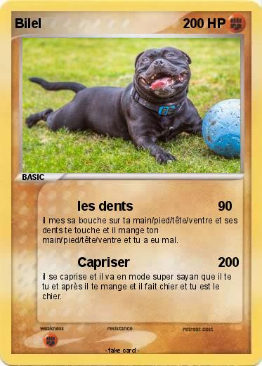 Pokemon Bilel