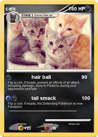 Pokemon cats