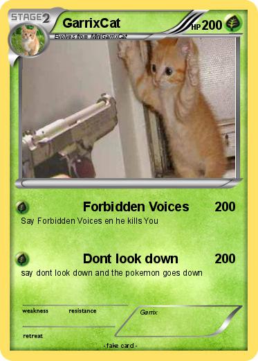 Pokemon GarrixCat