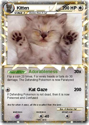 Pokemon Kitten