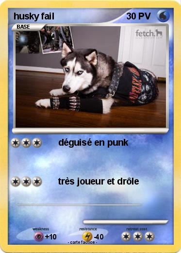 Pokemon husky fail