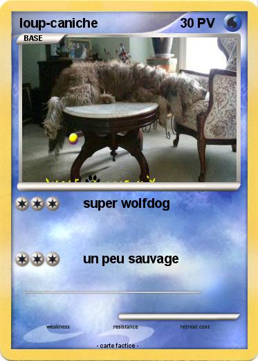 Pokemon loup-caniche