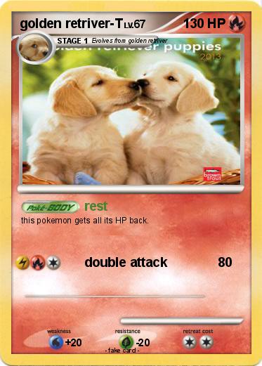 Pokemon golden retriver-T