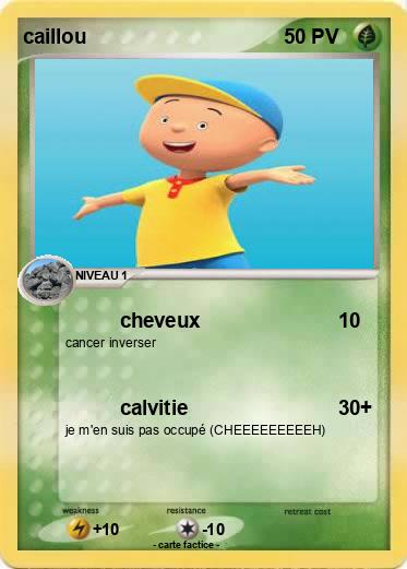 Pokemon caillou