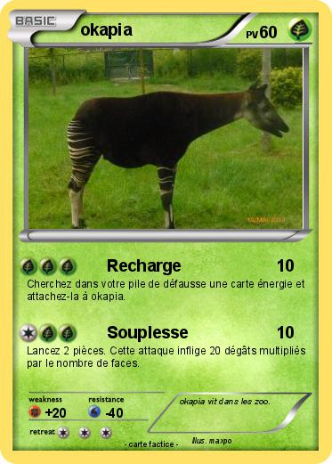 Pokemon okapia
