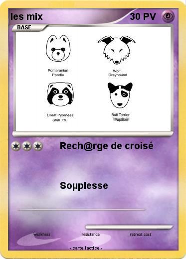 Pokemon les mix