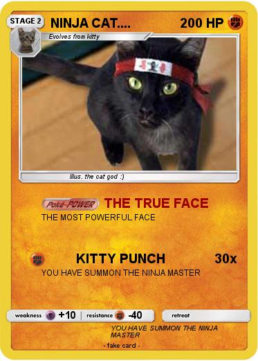 Pokemon NINJA CAT....
